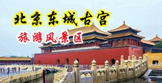 操l小美女淫色播放中国北京-东城古宫旅游风景区
